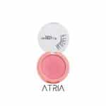 رژگونه ایزابل دپونت شماره 10 | ISABELLE DUPONT blusher