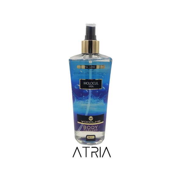 بادی اسپلش وودلایک مولکول