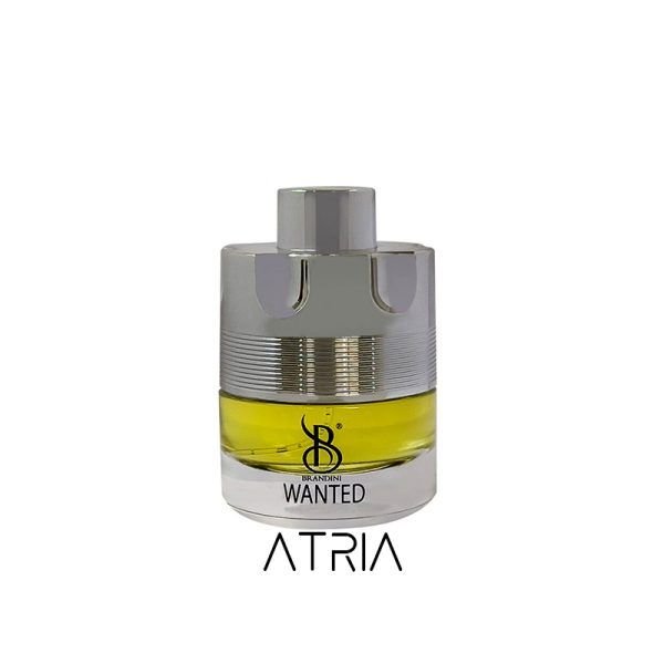 عطر ادکلن برندینی وانتد