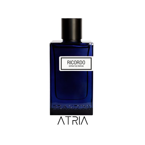 عطر ادکلن برندینی ریکوردو 90 میل