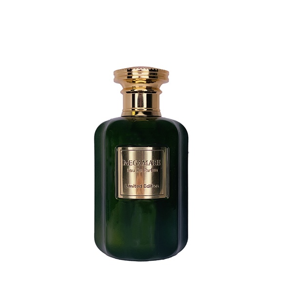 0089724 roberto vizzari megamare edp m 100ml 600