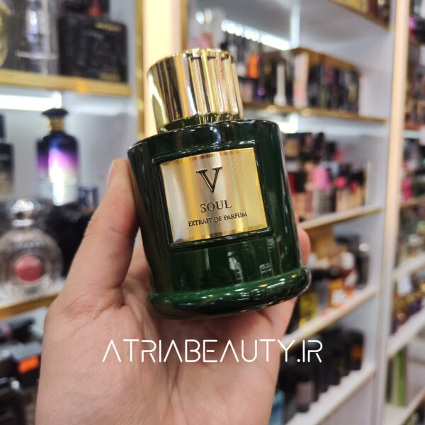 خرید عطر ادکلن روبرتو ویزاری سول 100 میل