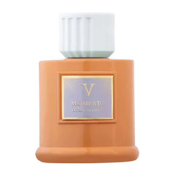 عطر ادکلن روبرتو ویزاری مومنتو 100 میل | ROBERTO VIZZARI MOMENTO عطر ادکلن روبرتو ویزاری مومنتو 100 میل | ROBERTO VIZZARI MOMENTO
