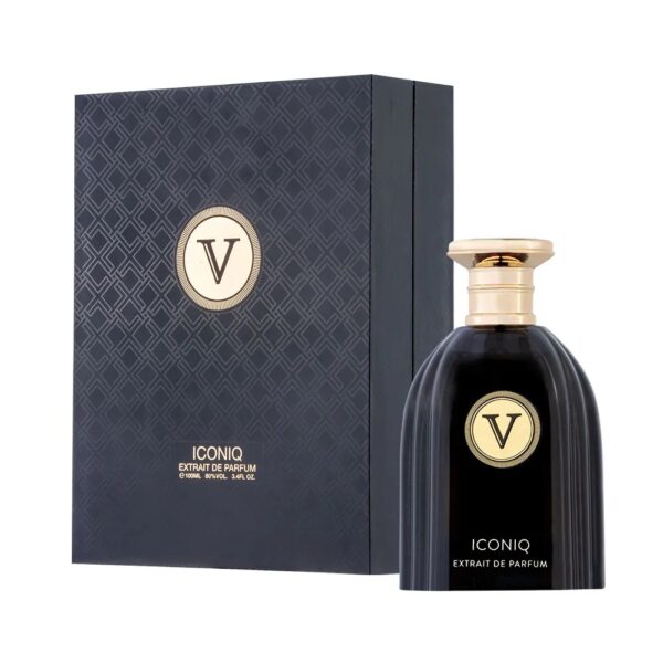 هاردباکس عطر روبرتو ویزاری ادکلن آیکونیک 100 میل | ROBERTO VIZZARI ICONIQ